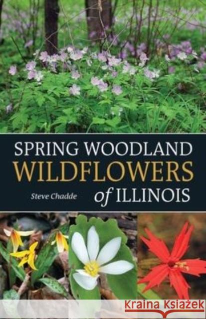 Spring Woodland Wildflowers of Illinois Steve Chadde 9781951682569