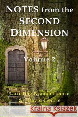 Notes from the Second Dimension: Volume 2 Christine Kromm Henrie David J. Henrie 9781951879020 Access Soul Knowledge