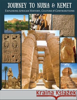 Journey to Nubia and Kemet: Exploring African History, Culture and Contributions Angel Brown-Harriott 9781951881047 Cultured Melanin Lvas
