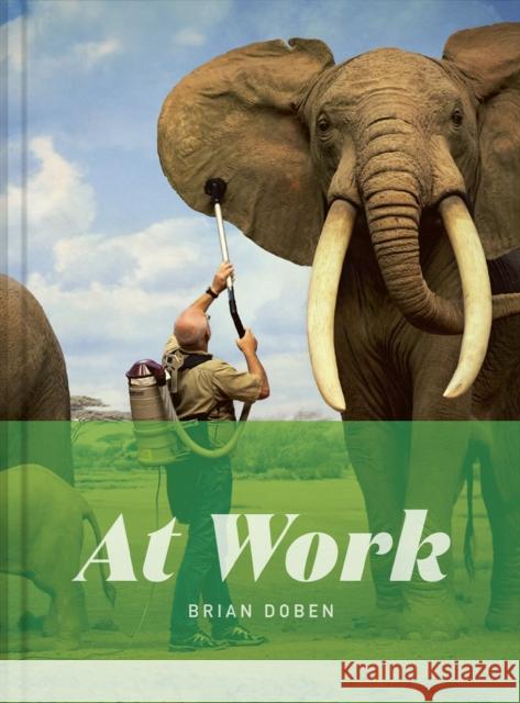 At Work  9781951963309 Trope Publishing Co.