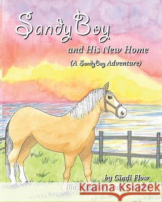SandyBoy and His New Home (A SandyBoy Adventure) Cindi Flow, Judy Gaudet 9781952041389