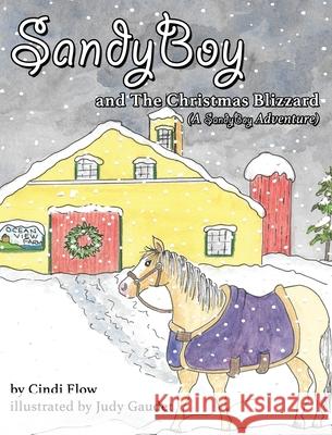 SandyBoy and the Christmas Blizzard (A SandyBoy Adventure) Cindi Flow, Judy Gaudet 9781952041501 Texas Sisters Press, LLC
