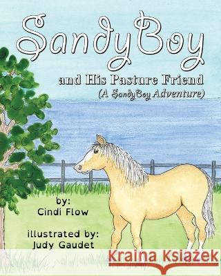 SandyBoy and His Pasture Friend Cindi Flow, Judy Gaudet 9781952041686