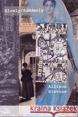 Slowly/Suddenly Allison Blevins 9781952055317 Vegetarian Alcoholic Press