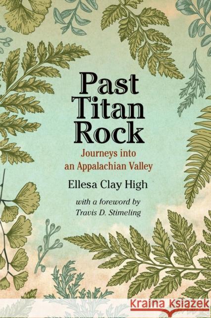 Past Titan Rock Travis D. Stimeling 9781952271175 West Virginia University Press