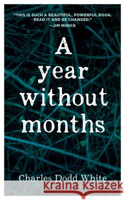 A Year without Months Charles Dodd White 9781952271526 West Virginia University Press
