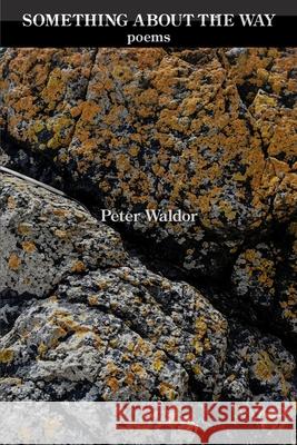 Something About the Way Peter Waldor 9781952326554