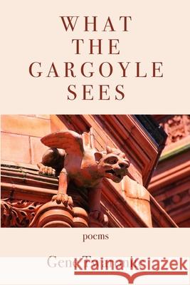What the Gargoyle Sees Gene Twaronite 9781952326868 Kelsay Books