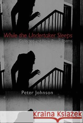 While the Undertaker Sleeps Peter Johnson   9781952335600 Madhat, Inc.