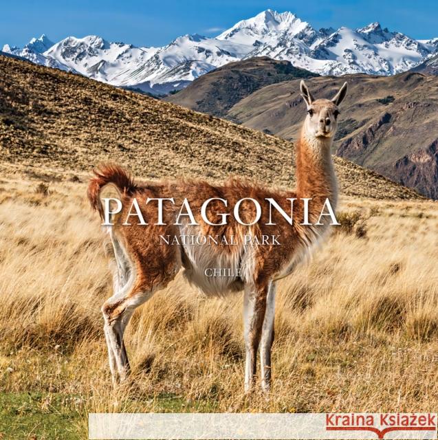 Patagonia National Park: Chile: Chile Kristine McDivitt Tompkins Michelle Bachelet Yvon Chouinard 9781952338069 Patagonia