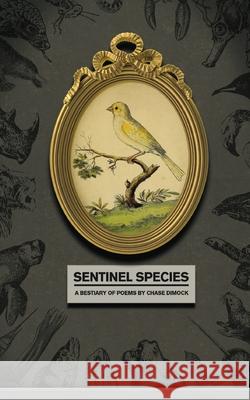 Sentinel Species Chase Dimock 9781952411304