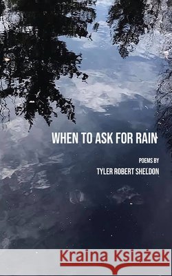 When to Ask for Rain Tyler Sheldon 9781952411625