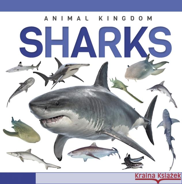 Sharks Alex Hall 9781952455322
