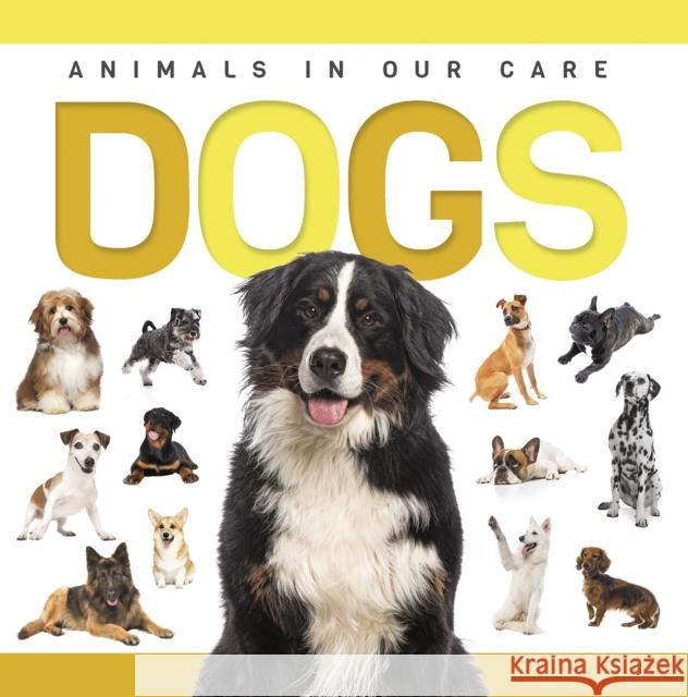 Dogs Eliza Nodes 9781952455926 North Star Kids