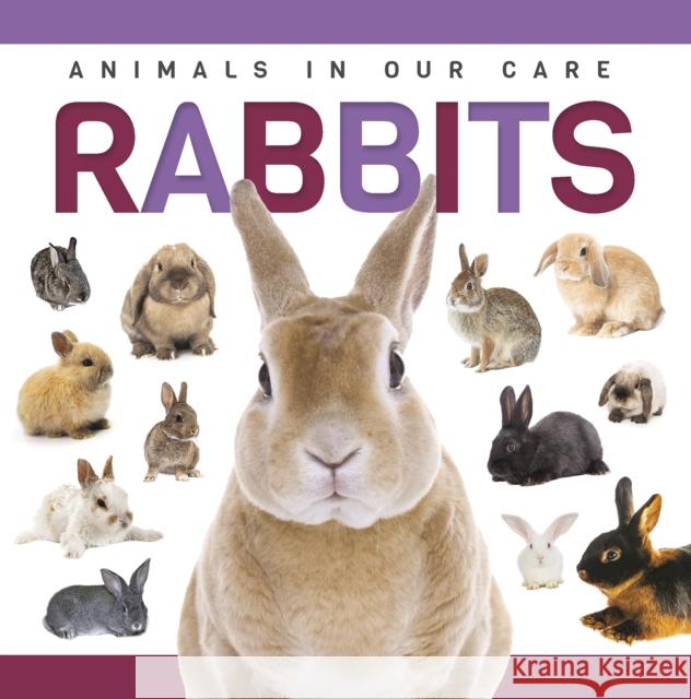 Rabbits Alex Hall 9781952455940 North Star Kids