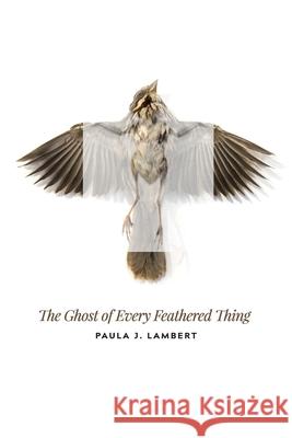 The Ghost of Every Feathered Thing Julie Kim Shavin Paula J. Lambert 9781952593192 Futurecycle Press
