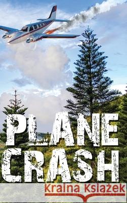 Plane Crash R. Michael McKee 9781952617041