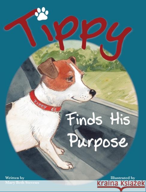 Tippy Finds His Purpose Mary Beth Stevens Susan Spellman 9781952714184
