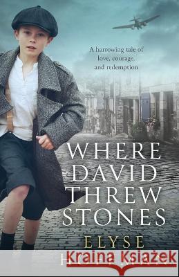 Where David Threw Stones Elyse Hoffman 9781952742095 Project 613 Publishing