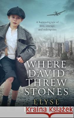 Where David Threw Stones Elyse Hoffman 9781952742101