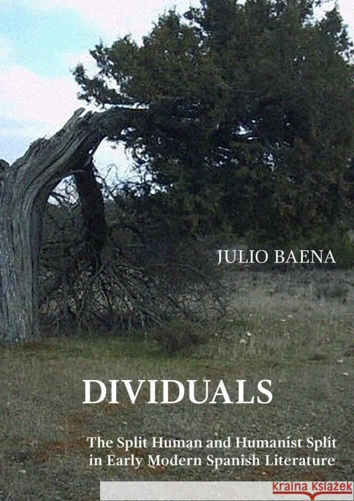 Dividuals Baena, Julio 9781952799150