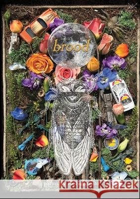 Brood Kelly Granito 9781952869969 Cathexis Northwest Press