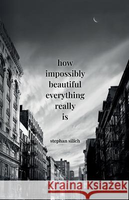 How Impossibly Beautiful Everything Really Is Stephan Silich 9781952991394 Stephan Silich