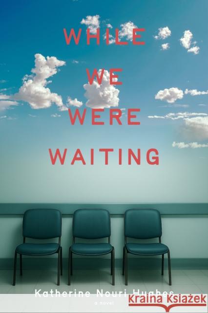 While We Were Waiting Katherine Nouri Hughes 9781953002747 Delphinium Books