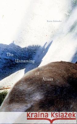The Unnaming of Aliass Karin Bolender 9781953035127