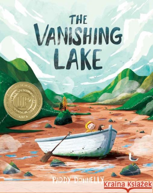 The Vanishing Lake Paddy Donnelly 9781953458032