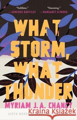 What Storm, What Thunder Myriam J. a. Chancy 9781953534385