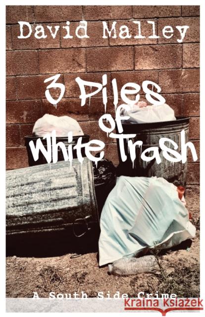 3 Piles of White Trash David Allen Malley 9781953595034