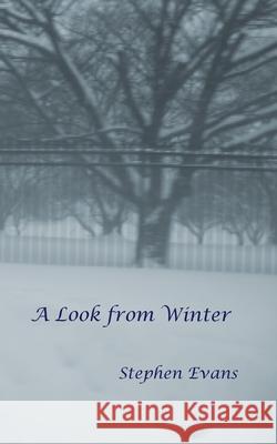 A Look from Winter Stephen Evans 9781953725141 Time Being Media, LLC