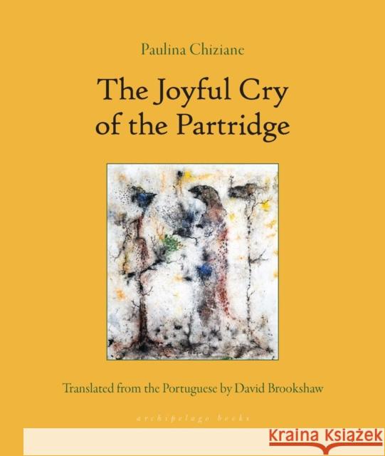 The Joyful Song Of The Partridge Paulina Chiziane 9781953861689 Archipelago Books