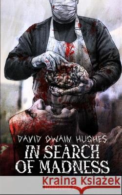 In Search of Madness David Owain Hughes 9781953905277 Hellbound Books Publishing