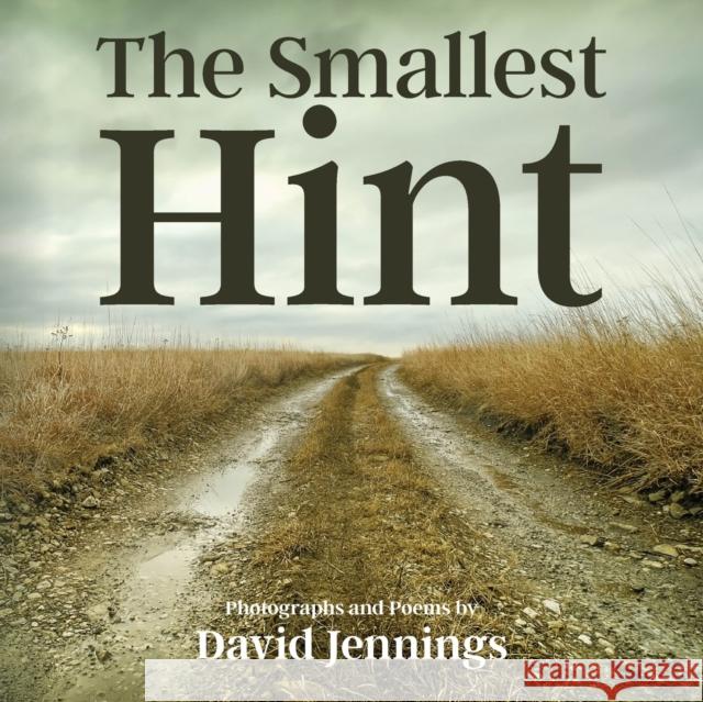 The Smallest Hint David Jennings 9781954095915