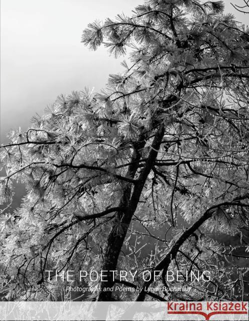 The Poetry of Being: Photographs and Haikus  9781954119239 Daylight Books