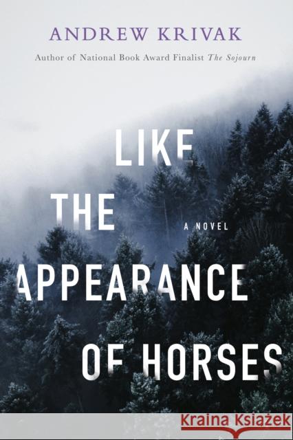 Like the Appearance of Horses Andrew Krivak 9781954276130