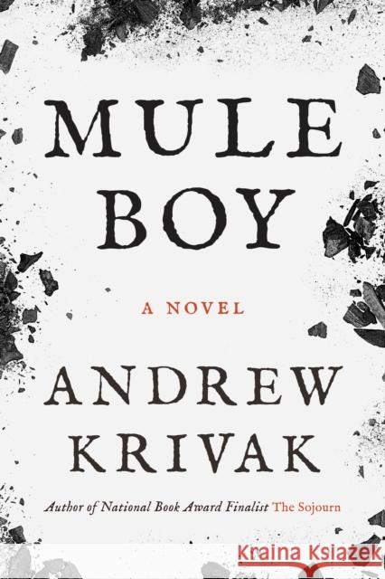 Mule Boy Andrew Krivak 9781954276468 Bellevue Literary Press