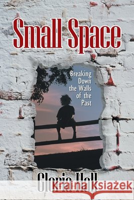 Small Space Gloria Hall 9781954345256