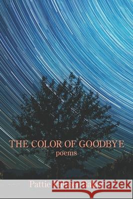 The Color of Goodbye Pattie Palmer-Baker 9781954353343