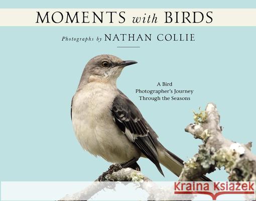Moments with Birds: A Bird Photographer's Journey Through the Seasons Nathan Collie 9781954437500 Clovercroft Publishing