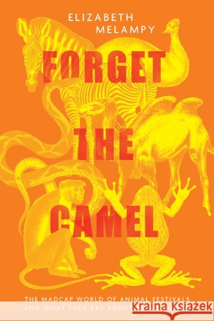 Carnival: How We Use Animals to Celebrate Ourselves Elizabeth MeLampy 9781954641433 Apollo Publishers