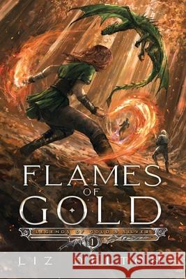 Flames of Gold Liz Delton 9781954663275