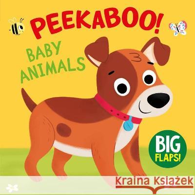 Peekaboo Baby Animals Clever Publishing 9781954738287