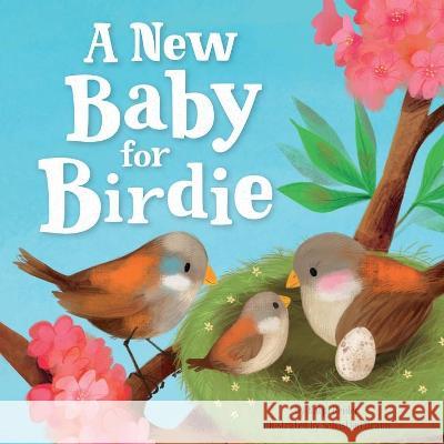 A New Baby for Birdie Katja Reider Clever Publishing                        Sebastien Braun 9781954738522