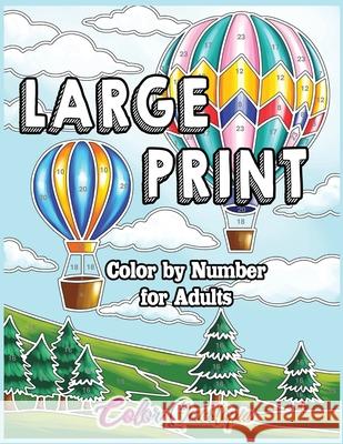 Large Print Color by Number for Adults: Coloring Book Volume 2 - A Variety of Simple, Easy Designs for Relaxation Color Questopia 9781954883406 Color Questopia