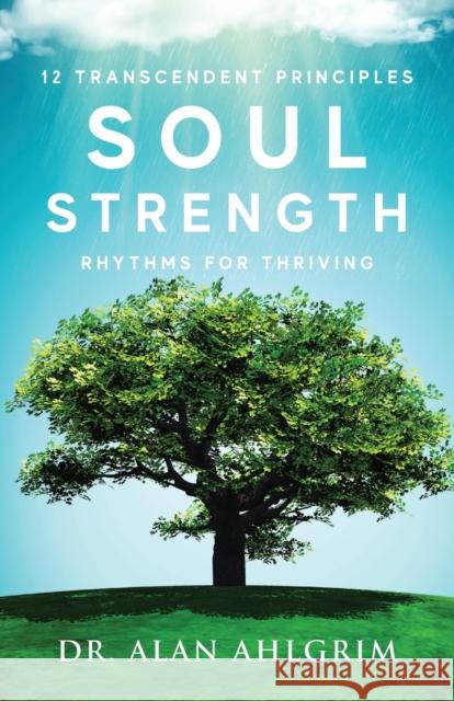 Soul Strength: Rhythms for Thriving Alan Ahlgrim 9781955043366 Illumify Media