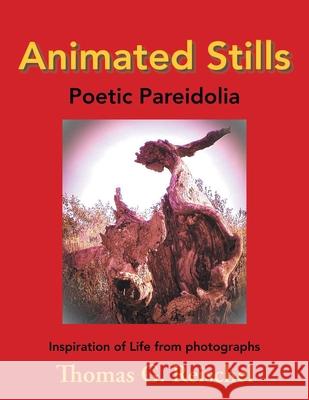 Animated Stills: Poetic Pareidolia Thomas Reischel 9781955070645 Word Art Publishing
