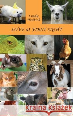 Love at First Sight Cindy Hedrick 9781955095044